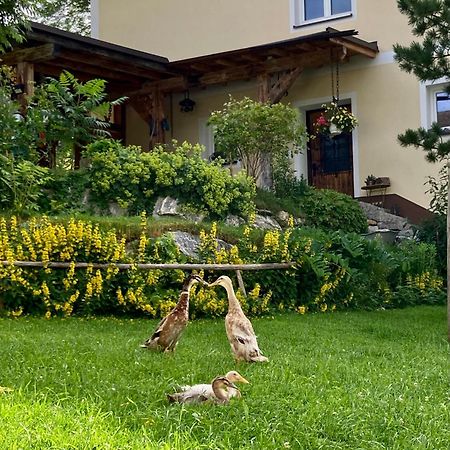 Heissgut Apartment Altenmarkt im Pongau Bagian luar foto