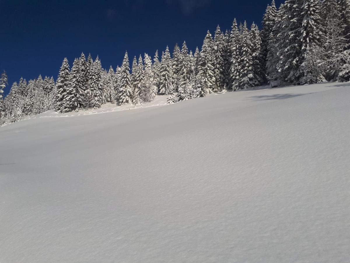 Heissgut Apartment Altenmarkt im Pongau Bagian luar foto