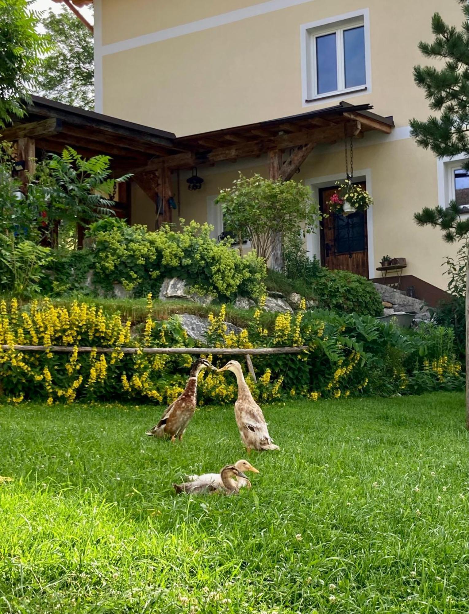 Heissgut Apartment Altenmarkt im Pongau Bagian luar foto