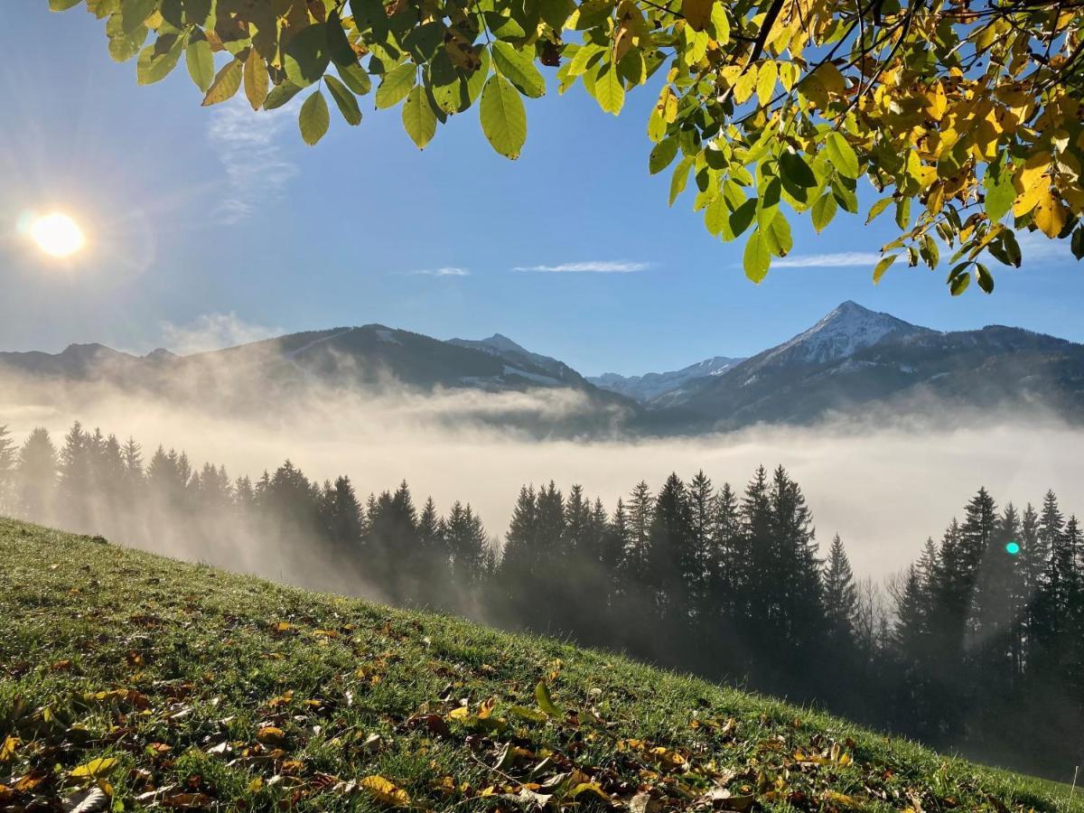 Heissgut Apartment Altenmarkt im Pongau Bagian luar foto