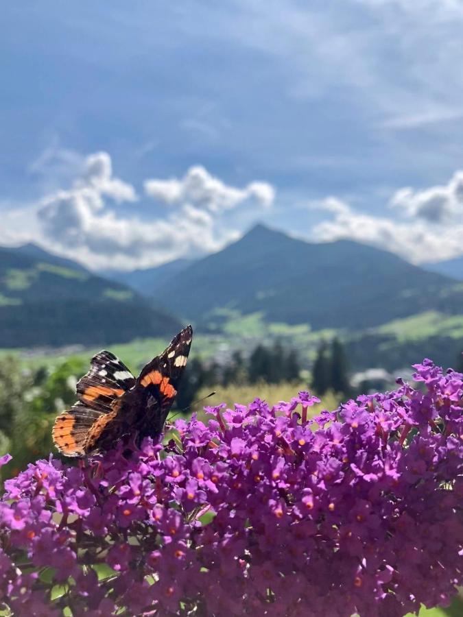 Heissgut Apartment Altenmarkt im Pongau Bagian luar foto